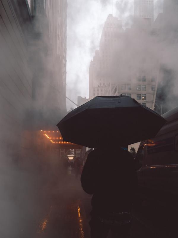 pexels-ryan-millier-3229623