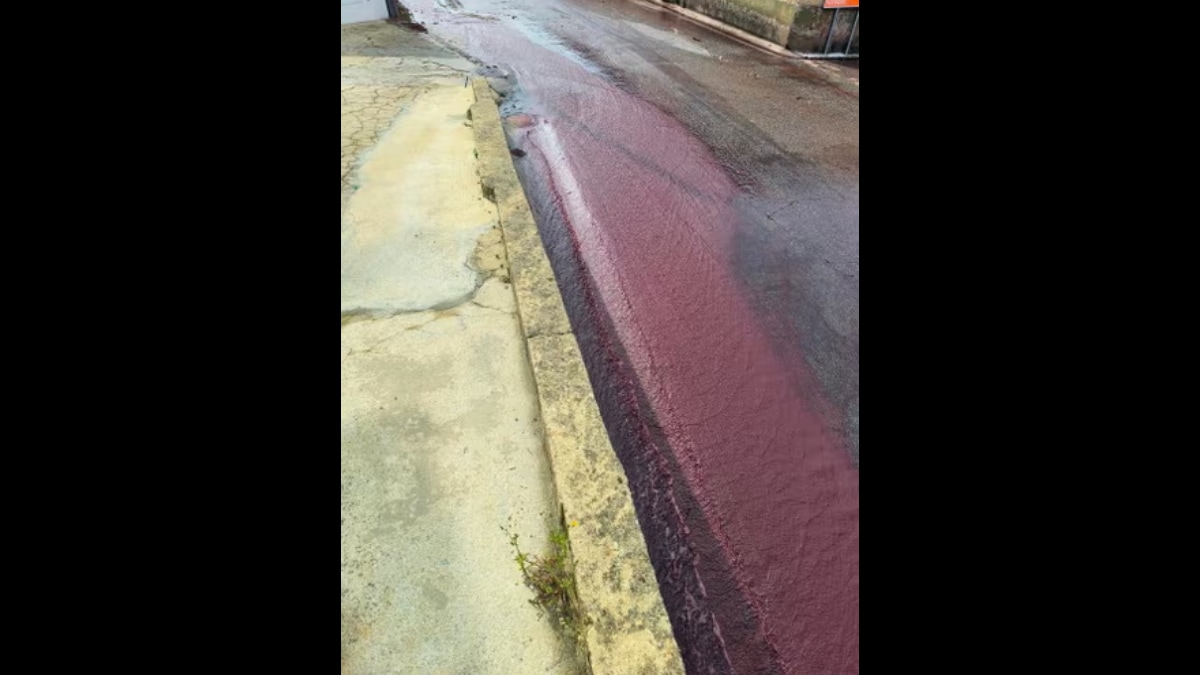 Wine flows in streets, Wine in street, Wine tanks, Portugal wine, Wine floods streets in Portugal, wine, Portugal