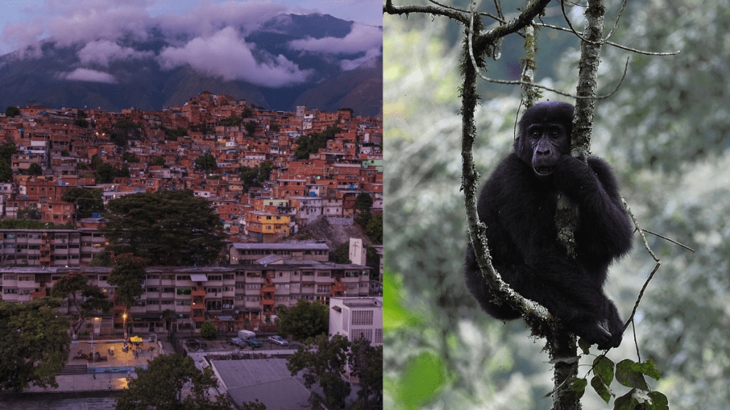 Places that are not ideal travel destinations