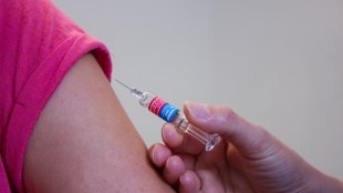 Nipah, Nipah virus, Nipah virus alert, Nipah virus news, Kerala, Kerala news, Kerala latest news
