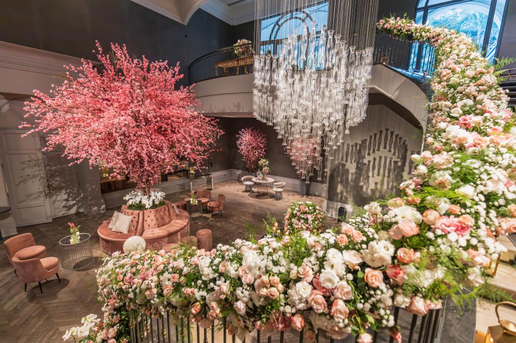 Sourabh Chandrakar's Wedding Sourabh Chandrakar's Wedding