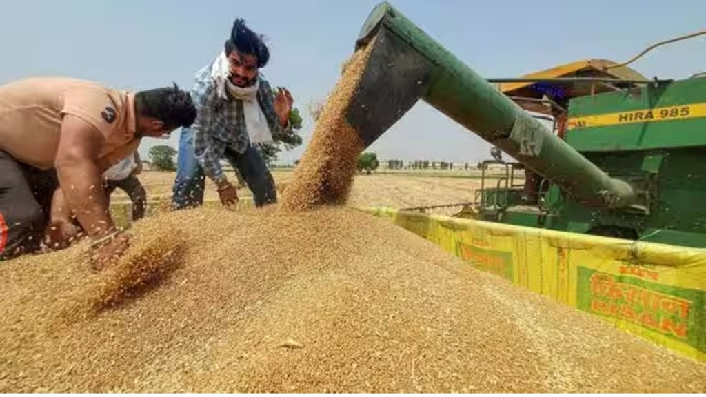 wheat output