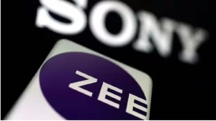Shares of Zee Entertainment were down 4.2%