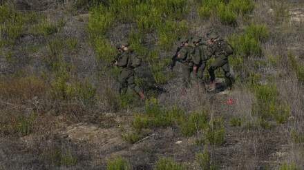 Hamas, israel, Hamas vs israel, israel vs palestine,