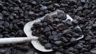 coal industry, coal sector, coal dispatch,