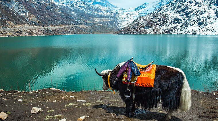 Festivals of Sikkim