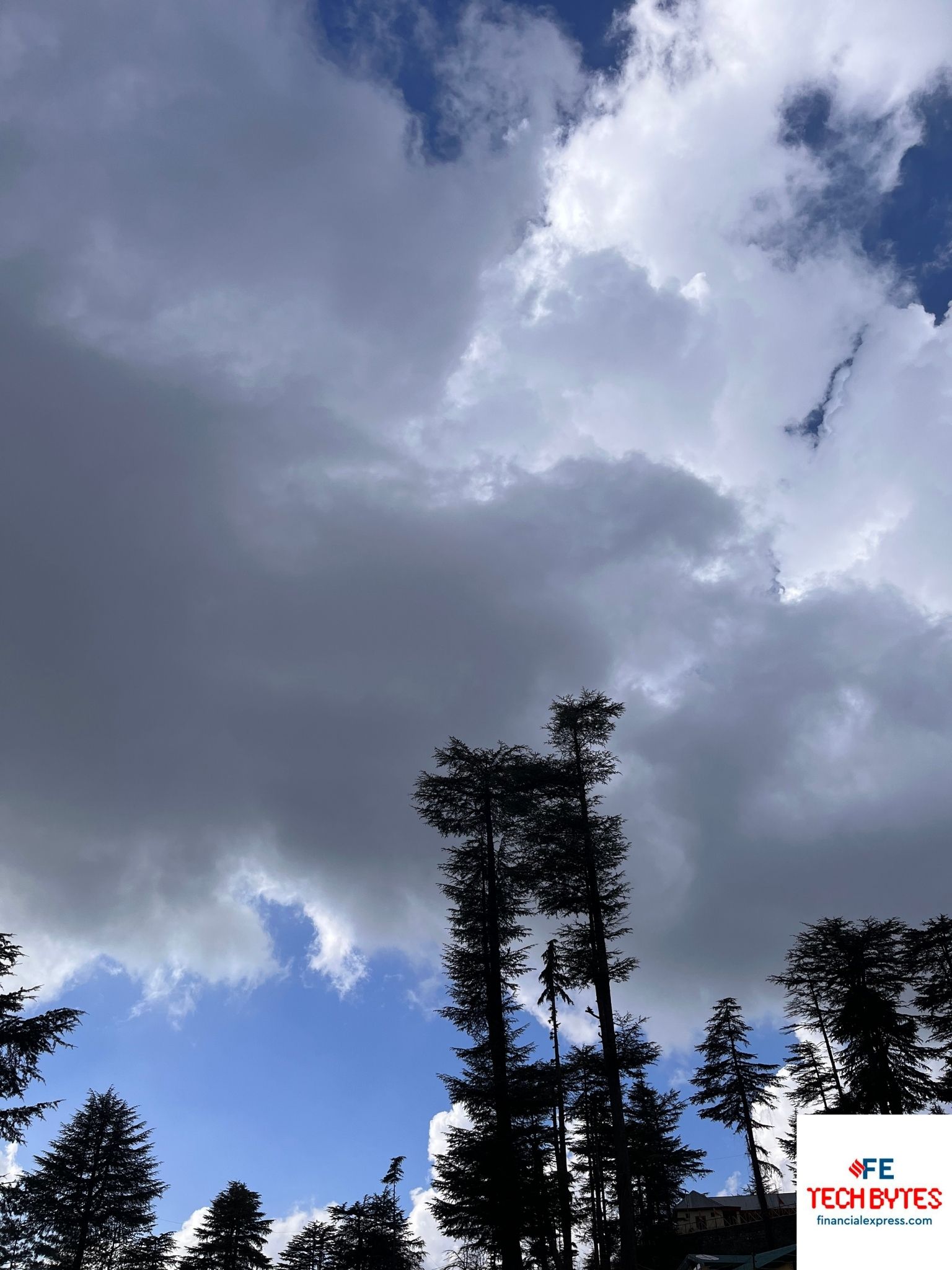 iPhone 13 Camera Sample