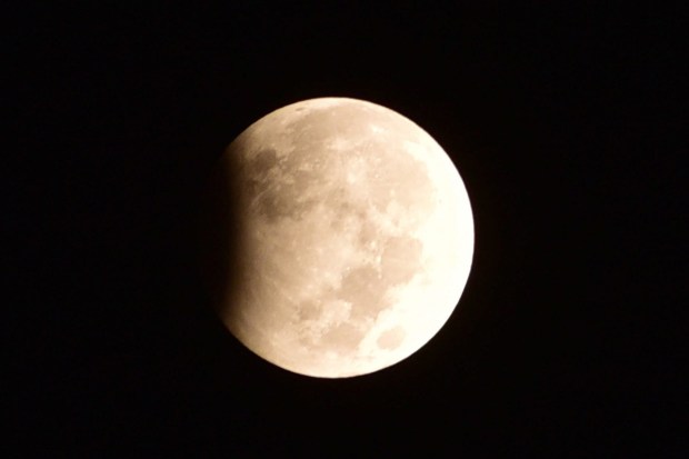 The penumbral eclipse started at around 11:31 pm Indian Standard Time (IST), but the partial Umbral eclipse, which is more noticeable, will start in the early hours of October 29, at around 1:05 am IST. Lunar eclipse as seen in the sky from Gurugram, in the wee hours of Sunday. (PTI Photo)