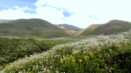 Manipur—A Gem of a Land Manipur—A Gem of a Land