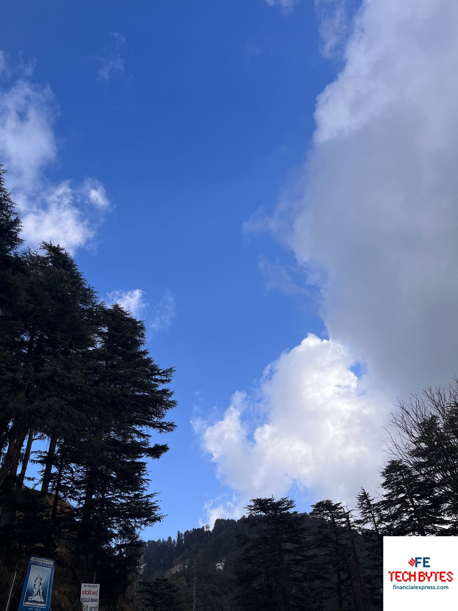 iPhone 13 Camera Sample