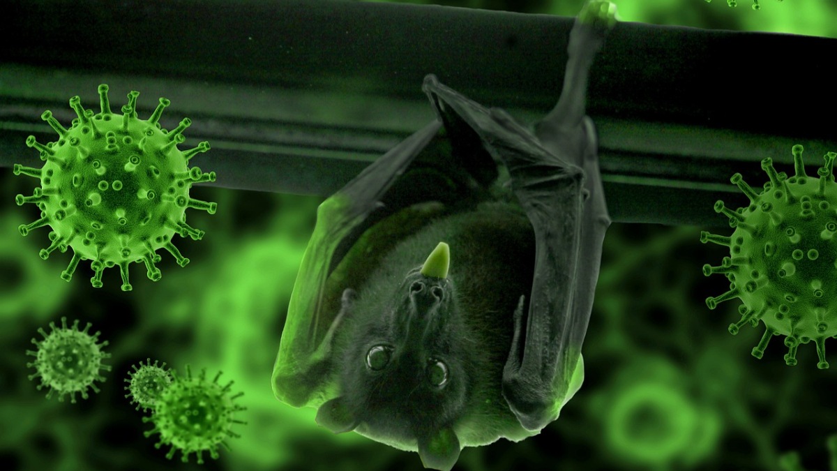 Nipah, Nipah news, Nipah virus, Nipah outbreak, Nipah in Kerala, ICMR, kerala news, Kerala latest news