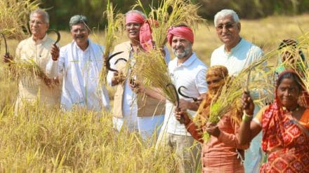 Chhattisgarh, chhattisgarh election, chhattisgarh election 2023, assembly election 2023, rahul gandhi, farmers, congress