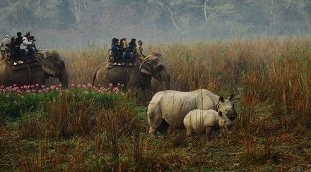 Festivals of Assam