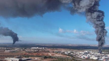 nutrition,OPEC production,crude stockdraw,US crude,oil prices