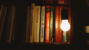 Led light bulb with books