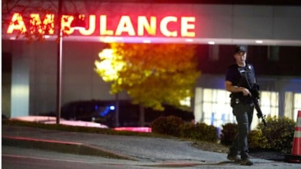 mass shooting, us, killing, gun laws