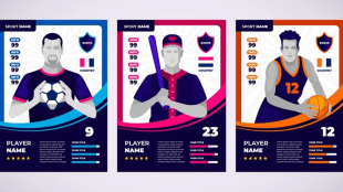 The fantasy sports platforms had to go through various changes in their structure to keep themselves afloat