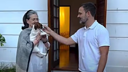 AIMIM leader moves court against Rahul Gandhi, opposes his pet's name ‘Noorie’