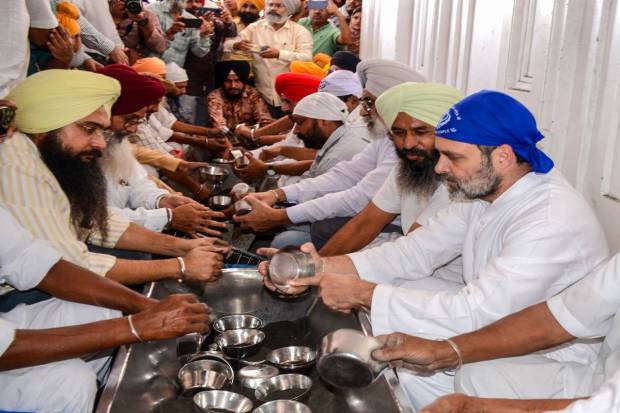 Congress leader Rahul Gandhi performs 'sewa' during a visit at the Golden Temple, in Amritsar. (PTI Photo)