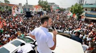Telangana elections 2023: Rahul Gandhi promises caste survey if Congress voted to power