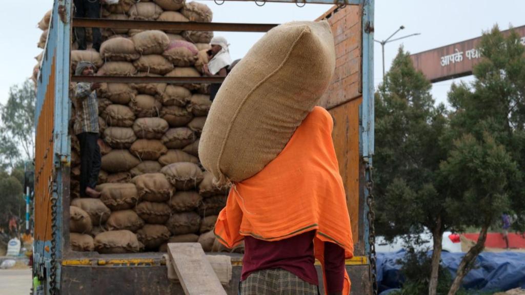 rice export, pakistan, india, trade route, imports, exports, opinion