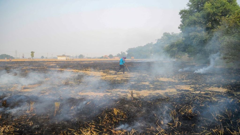 aqi, air quality, delhi air quality, stubble burning, paddy burning