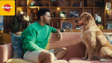 Pedigree launched a cricket themed digital ad film on Disney+ Hotstar