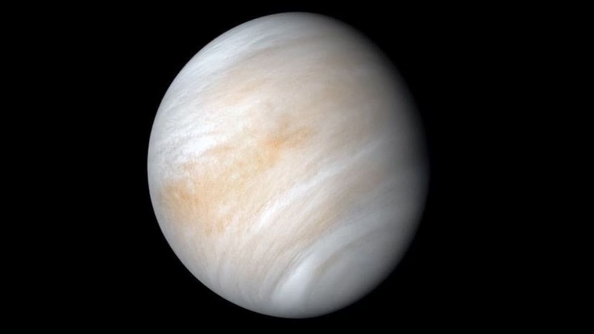 Venus Nasa