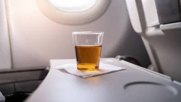 alcohol, alcohol on flight, domestic alcohol bottle, alcohol bottle on flight, domestic travel alcohol, how many alcohol bottle you can carry, lifestyle, travel