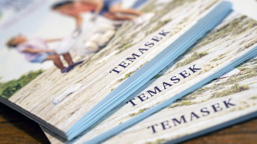 Tata Group, Tata, Tata news, Tata in advanced talks to buy back Temasek’s Tata Play stake, Tata Temasek’s Tata Play stake