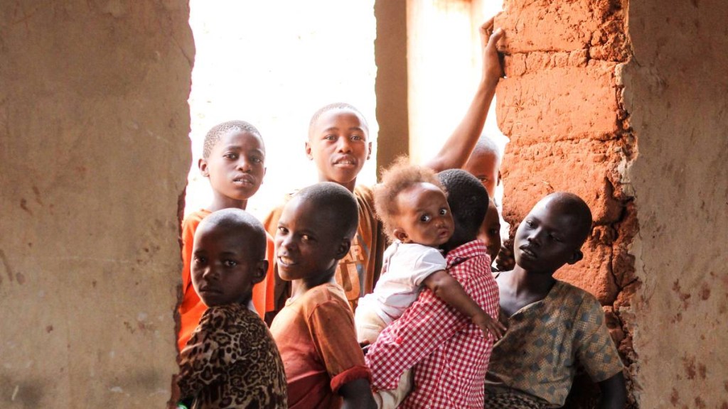 africa, africa news, diphtharis, africa diphtharis, diphtharis cases