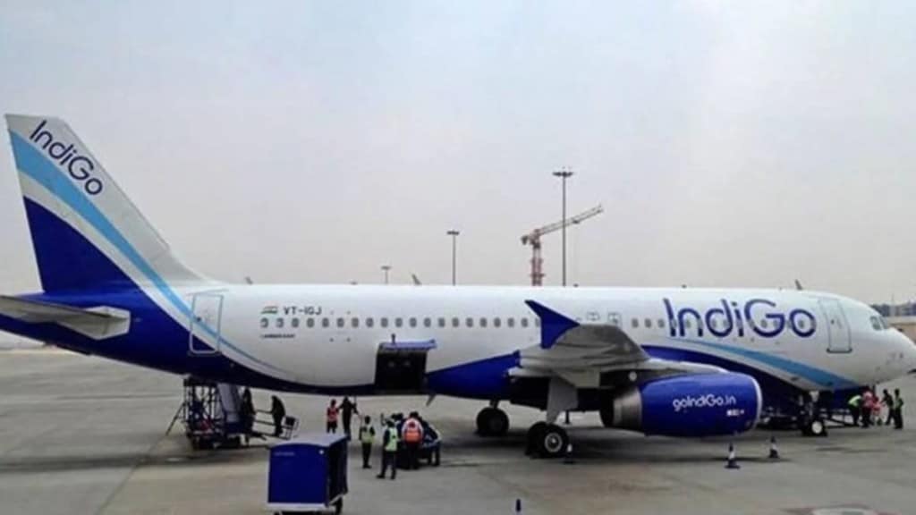 Indigo