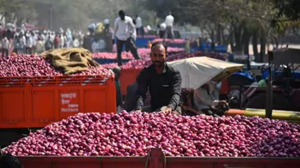 onion