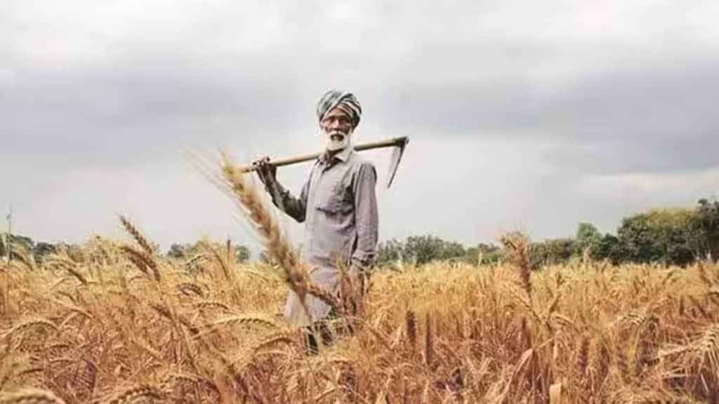 farmer