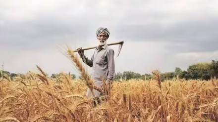 farmer