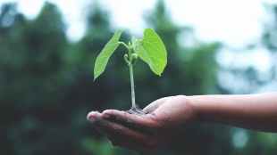 Green business, sustainability, healthcare news, sustainability news.