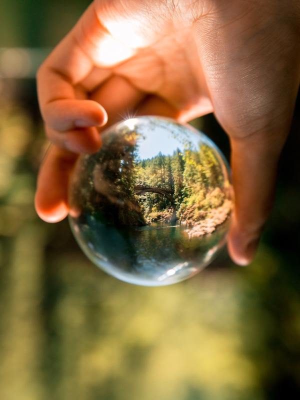 pexels-arthur-ogleznev-1296265