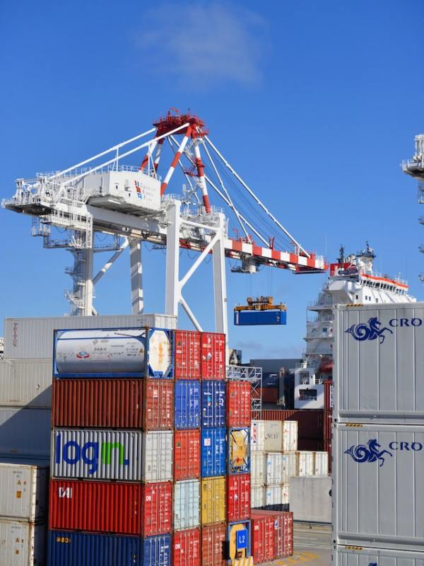 pexels-frans-van-heerden-1624695