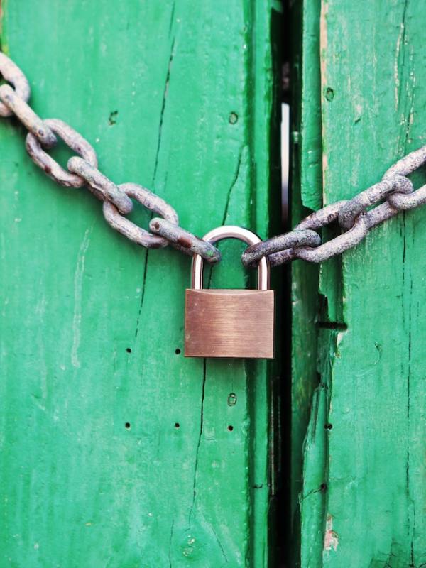 pexels-life-of-pix-4291 (1)