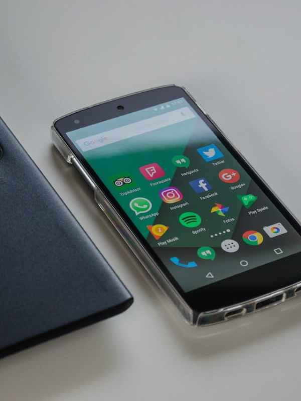 pexels-pixabay-221179 (1)