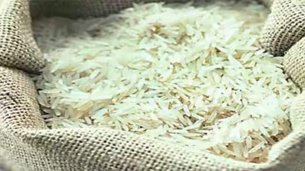 rice