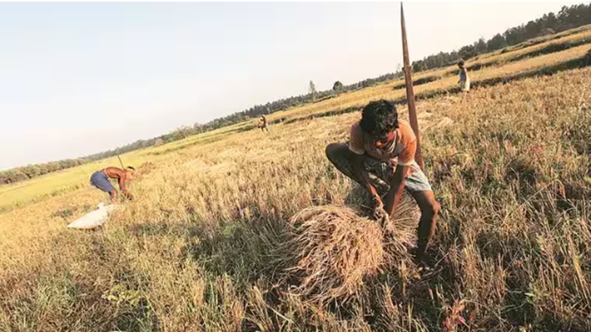 Skymet, IMD, monsoon, monsoon prediction, crop, rainfall, inflation, food inflation, rabi production, El Nino, La Nina Skymet, IMD, monsoon, monsoon prediction, crop, rainfall, inflation, food inflation, rabi production, El Nino, La Nina