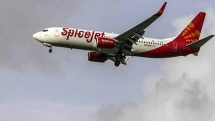 SpiceJet, aviation sector, Q2FY24 results, loss, revenue, passenger business, debt, financial crisis