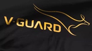 V Guard, LSEG, V Guard Q2 profit, El Nino weather pattern, latest news on business, latest news,