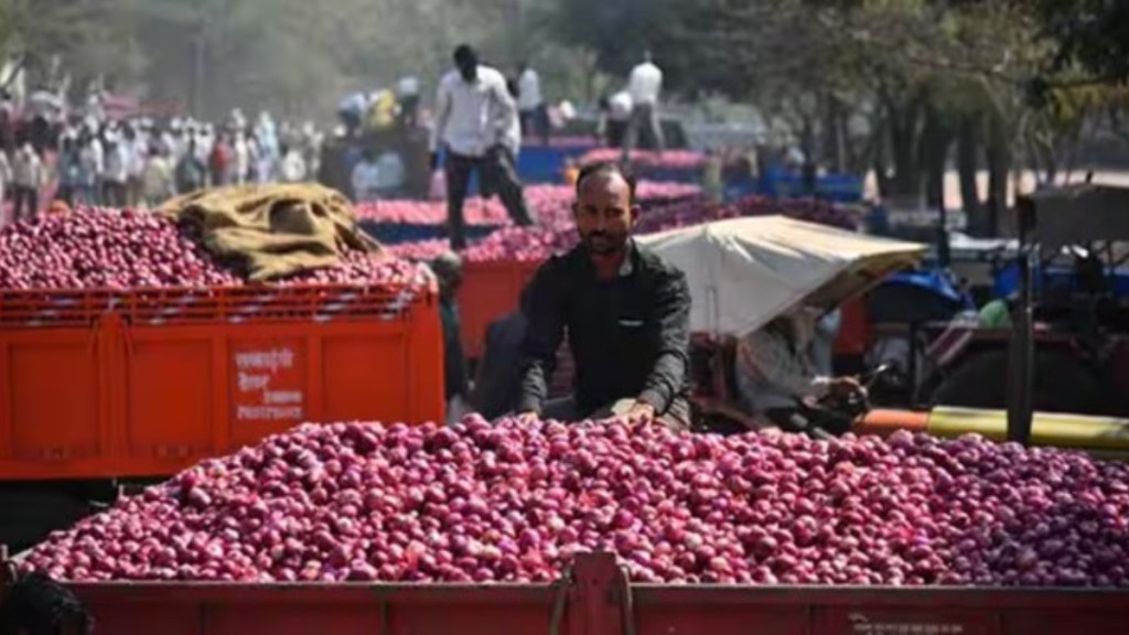 Onion prices, onion price, commodities, commodities financial express, onion in India
