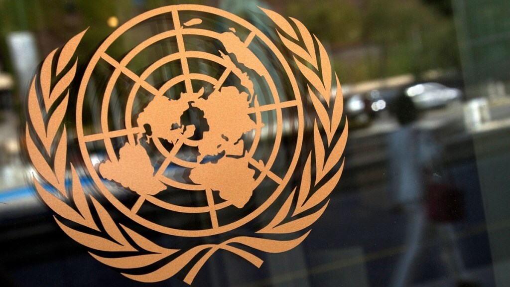Global Tax Convention, Global Tax Convention at UN, BRICS, international tax cooperation,