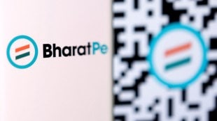 BharatPe, BharatPe outlook, BharatPe earnings, BharatPe revenue,