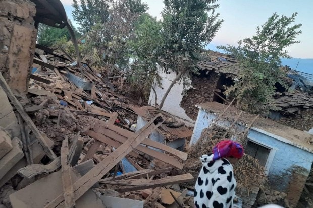 The impact of the quake was felt in Kathmandu and surrounding districts, and even in New Delhi in neighbouring India. A 7.8 magnitude earthquake and subsequent aftershocks killed around 9,000 people in Nepal in 2015. (PTI Photo)