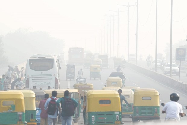 According to a Delhi Pollution Control Committee (DPCC), the capital experiences peak pollution from November 1 to November 15 when the number of stubble burning incidents in Punjab and Haryana increases. According to the New Delhi-based Indian Agricultural Research Institute (IARI), a total of 4,160 farm fires were reported from north India on Sunday -- the highest so far this season.(PTI photo)