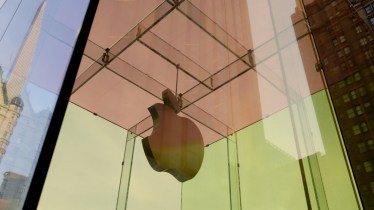 Apple earnings